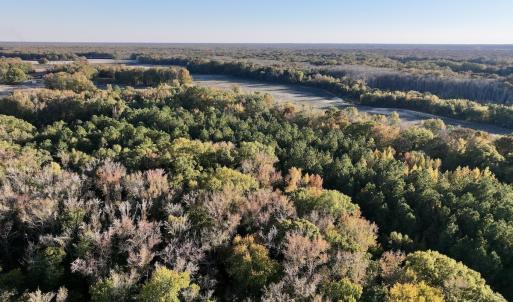 Photo #2 of 247 Quitsna Road, Windsor, NC 16.6 acres