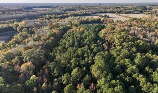 Photo #22 of 247 Quitsna Road, Windsor, NC 16.6 acres