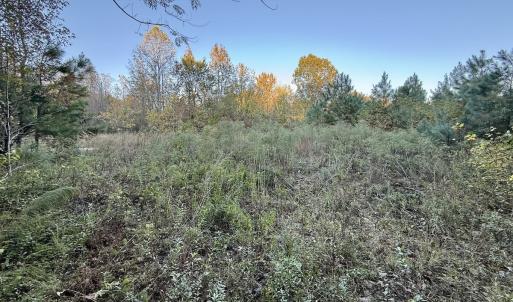 Photo #23 of 247 Quitsna Road, Windsor, NC 16.6 acres