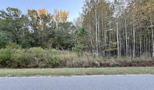 Photo #24 of 247 Quitsna Road, Windsor, NC 16.6 acres