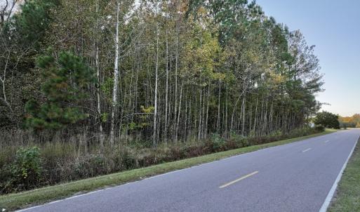 Photo #25 of 247 Quitsna Road, Windsor, NC 16.6 acres