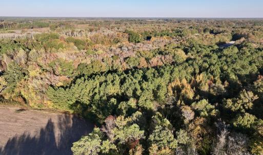 Photo #3 of 247 Quitsna Road, Windsor, NC 16.6 acres