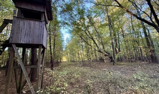 Photo #6 of 247 Quitsna Road, Windsor, NC 16.6 acres