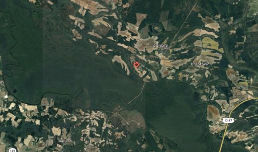 Photo #29 of 247 Quitsna Road, Windsor, NC 16.6 acres