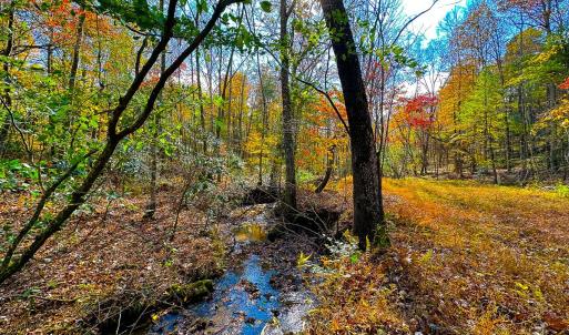 Photo #10 of Off Handy Mountain Dr, Stuart, VA 47.0 acres