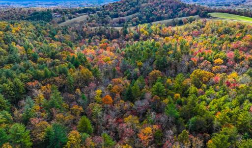 Photo #11 of Off Handy Mountain Dr, Stuart, VA 47.0 acres