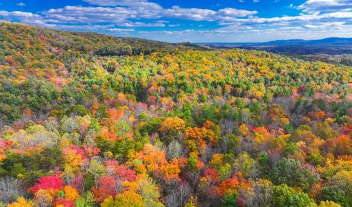 Photo #18 of Off Handy Mountain Dr, Stuart, VA 47.0 acres