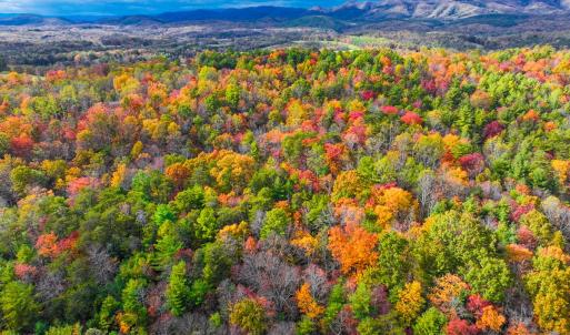 Photo #19 of Off Handy Mountain Dr, Stuart, VA 47.0 acres