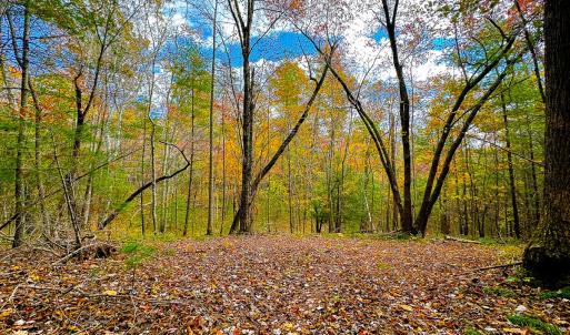 Photo #20 of Off Handy Mountain Dr, Stuart, VA 47.0 acres