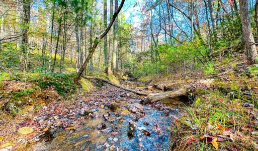 Photo #6 of Off Handy Mountain Dr, Stuart, VA 47.0 acres