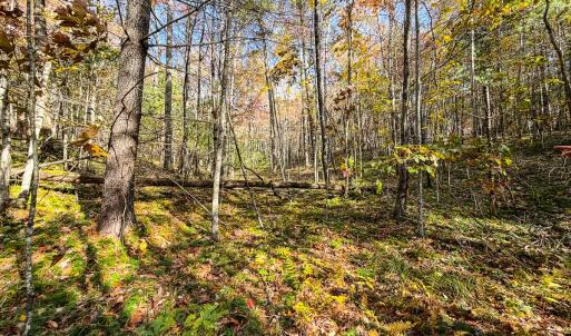 Photo #7 of Off Handy Mountain Dr, Stuart, VA 47.0 acres