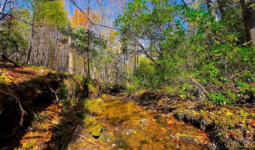 Photo #22 of Off Handy Mountain Dr, Stuart, VA 47.0 acres