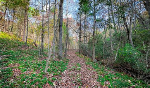Photo #32 of Off Handy Mountain Dr, Stuart, VA 47.0 acres
