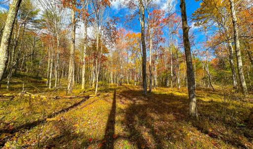 Photo #33 of Off Handy Mountain Dr, Stuart, VA 47.0 acres