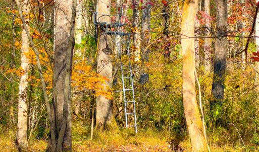 Photo #34 of Off Handy Mountain Dr, Stuart, VA 47.0 acres