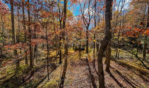 Photo #35 of Off Handy Mountain Dr, Stuart, VA 47.0 acres