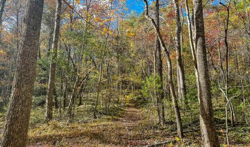 Photo #36 of Off Handy Mountain Dr, Stuart, VA 47.0 acres