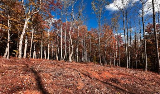 Photo #42 of Off Handy Mountain Dr, Stuart, VA 47.0 acres