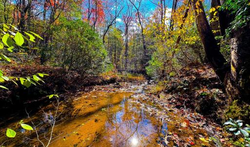 Photo #43 of Off Handy Mountain Dr, Stuart, VA 47.0 acres