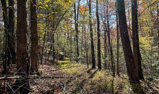 Photo #47 of Off Handy Mountain Dr, Stuart, VA 47.0 acres
