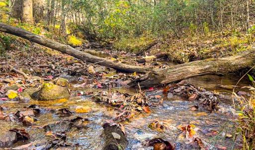 Photo #48 of Off Handy Mountain Dr, Stuart, VA 47.0 acres