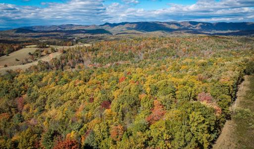 Photo #51 of Off Handy Mountain Dr, Stuart, VA 47.0 acres