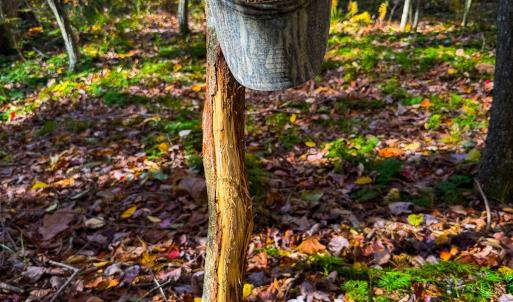 Photo #52 of Off Handy Mountain Dr, Stuart, VA 47.0 acres