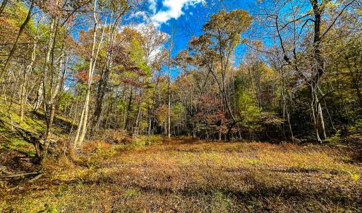 Photo #54 of Off Handy Mountain Dr, Stuart, VA 47.0 acres