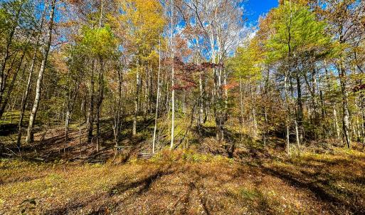 Photo #55 of Off Handy Mountain Dr, Stuart, VA 47.0 acres