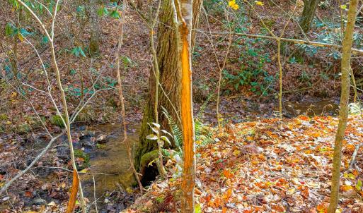 Photo #56 of Off Handy Mountain Dr, Stuart, VA 47.0 acres