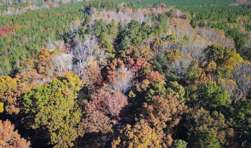 Photo #1 of Off Acres Hills Dr, Dewitt, VA 15.0 acres