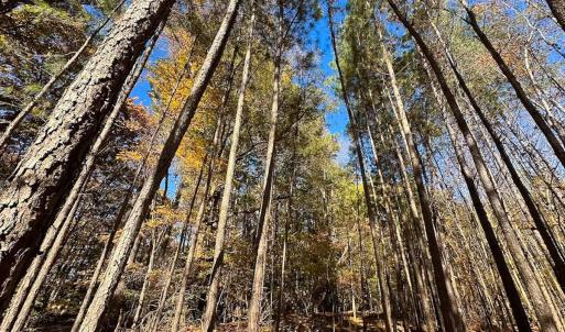 Photo #2 of Off Acres Hills Dr, Dewitt, VA 15.0 acres