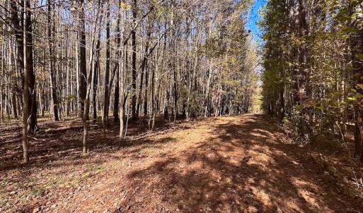 Photo #3 of Off Acres Hills Dr, Dewitt, VA 15.0 acres