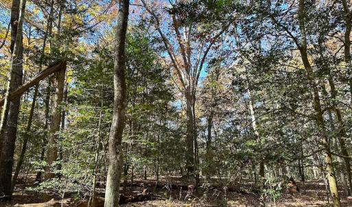 Photo #5 of Off Acres Hills Dr, Dewitt, VA 15.0 acres