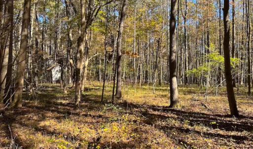 Photo #8 of Off Acres Hills Dr, Dewitt, VA 15.0 acres