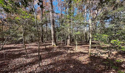 Photo #9 of Off Acres Hills Dr, Dewitt, VA 15.0 acres
