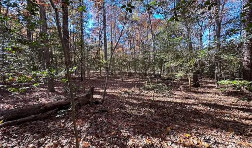 Photo #10 of Off Acres Hills Dr, Dewitt, VA 15.0 acres