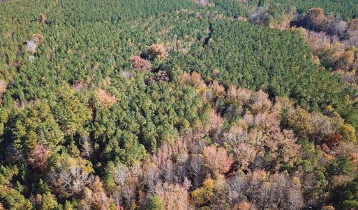 Photo #11 of Off Acres Hills Dr, Dewitt, VA 15.0 acres