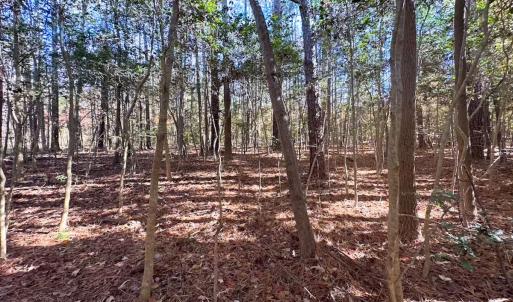 Photo #14 of Off Acres Hills Dr, Dewitt, VA 15.0 acres