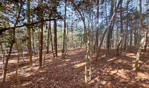 Photo #15 of Off Acres Hills Dr, Dewitt, VA 15.0 acres