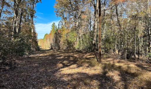 Photo #17 of Off Acres Hills Dr, Dewitt, VA 15.0 acres