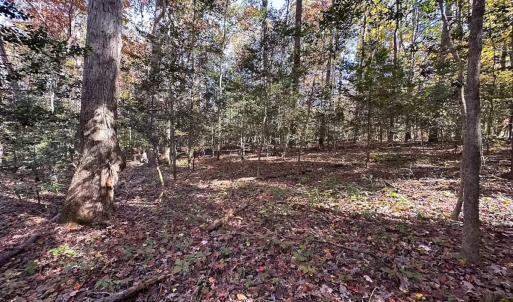 Photo #19 of Off Acres Hills Dr, Dewitt, VA 15.0 acres