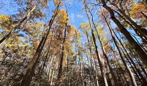 Photo #20 of Off Acres Hills Dr, Dewitt, VA 15.0 acres