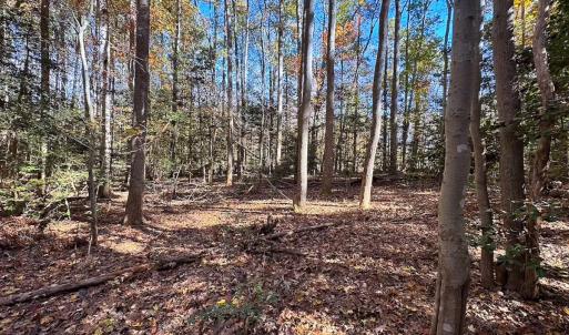 Photo #21 of Off Acres Hills Dr, Dewitt, VA 15.0 acres