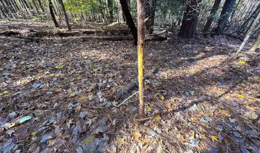 Photo #22 of Off Acres Hills Dr, Dewitt, VA 15.0 acres