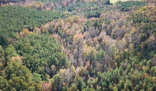 Photo #23 of Off Acres Hills Dr, Dewitt, VA 15.0 acres