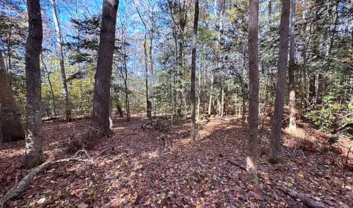 Photo #24 of Off Acres Hills Dr, Dewitt, VA 15.0 acres