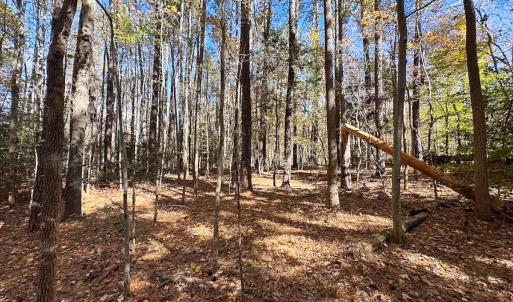 Photo #25 of Off Acres Hills Dr, Dewitt, VA 15.0 acres