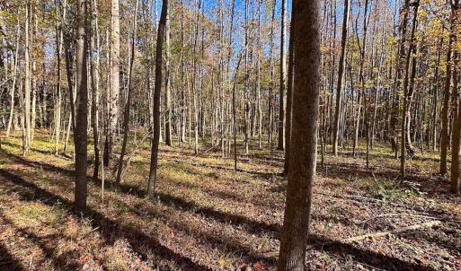 Photo #26 of Off Acres Hills Dr, Dewitt, VA 15.0 acres