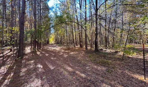 Photo #27 of Off Acres Hills Dr, Dewitt, VA 15.0 acres